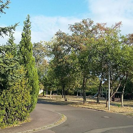 Апартаменти An Den Linden 31 Лейпциг Екстер'єр фото